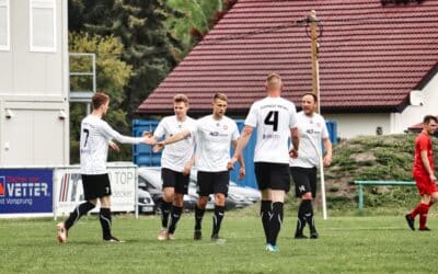 25. Spieltag, FV Eintracht Niesky –  SG Weixdorf 2:1 (1:1)