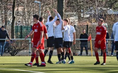 17. Spieltag, FV Eintracht Niesky – SG Crostzwitz 2:0 (1:0)