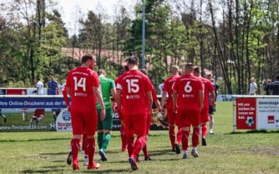 25. Spieltag, FV Eintracht Niesky – TSV Rotation Dresden 3:3 (2:2)